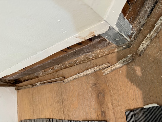 Mold contaminated drywall created by exterior foundation leak